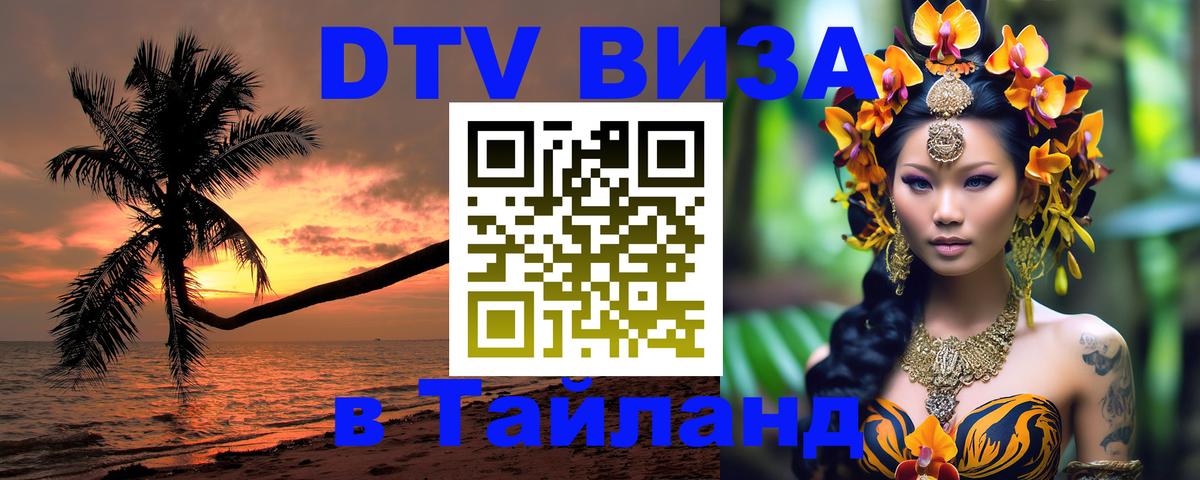 Оформление DTV визы под ключ: стоимость и тарифы, только загранпаспорт - 19.11.2025 